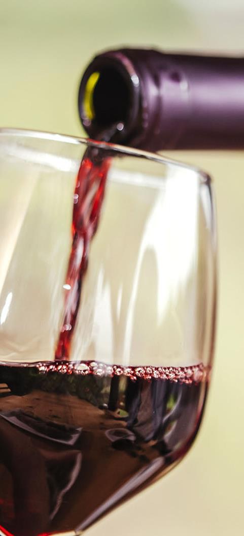 Maridaje de Vino Tinto y Blanco