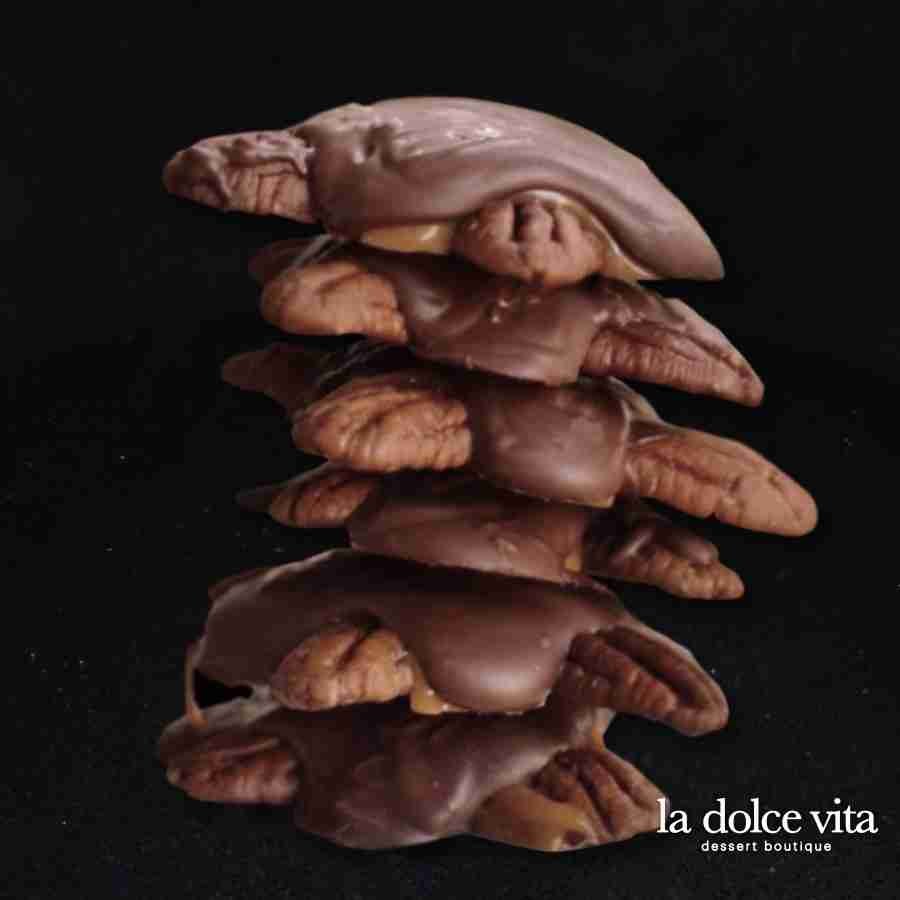 Tortuga de Chocolate